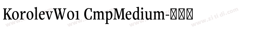KorolevW01 CmpMedium字体转换